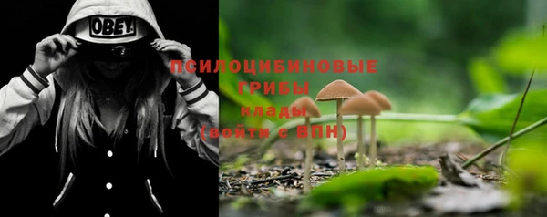 ПСИЛОЦИБИНОВЫЕ ГРИБЫ Семёнов